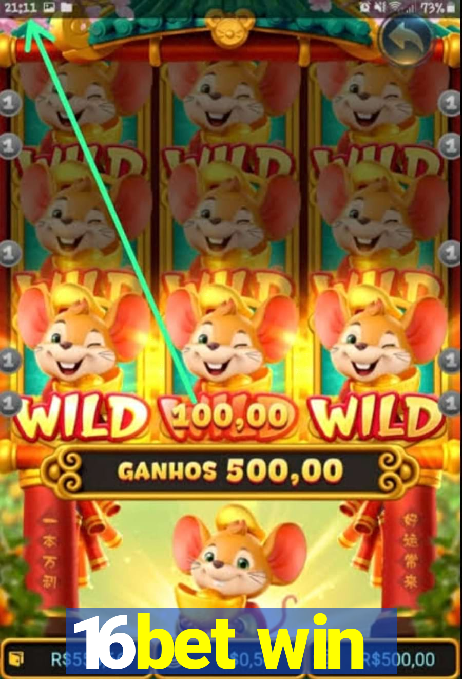 16bet win